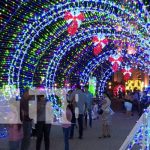Ambiente de paz y tranquilidad a lo largo de la Avenida Bolívar a Chávez en Managua Foto: Ambiente de paz y tranquilidad a lo largo de la Avenida Bolívar a Chávez en Managua / TN8