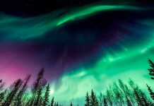 ¡De otro mundo! Captan sorprendente aurora boreal en Estados Unidos ¡De otro mundo! Captan sorprendente aurora boreal en Estados Unidos