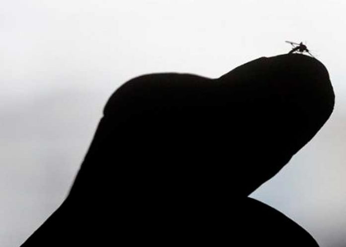 Foto: Haití en alerta de dengue /cortesía