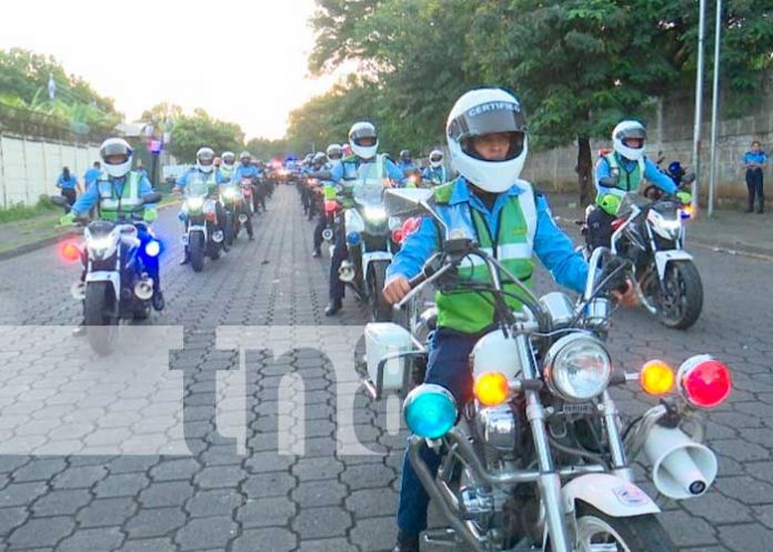 Foto: ¡Despliegue regional! Inicia la ejecución del 