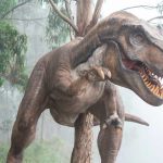 Foto: Un fósil revela cuál fue la última comida de un joven tiranosaurio/Cortresía