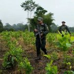 Colombia deroga las multas por posesión de pequeñas cantidades de droga en espacios públicos Foto: Colombia deroga las multas por posesión de pequeñas cantidades de droga en espacios públicos/Cortesía