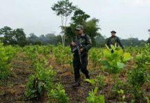 Foto: Colombia deroga las multas por posesión de pequeñas cantidades de droga en espacios públicos/Cortesía