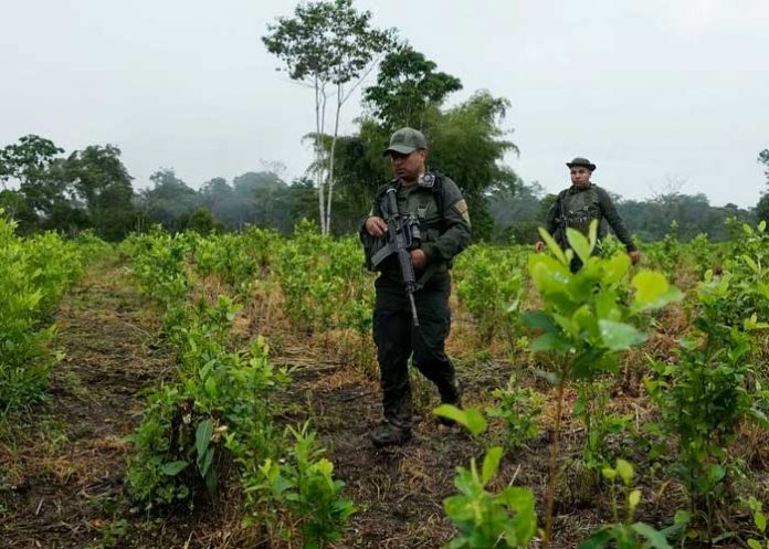 1 Foto: Colombia deroga las multas por posesión de pequeñas cantidades de droga en espacios públicos/Cortesía