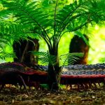 Reconstruyen virtualmente un ciempiés ‘tamaño un coche’ de hace 300 millones de años Foto: Reconstruyen virtualmente un ciempiés 'tamaño un coche' de hace 300 millones de años/Cortesía