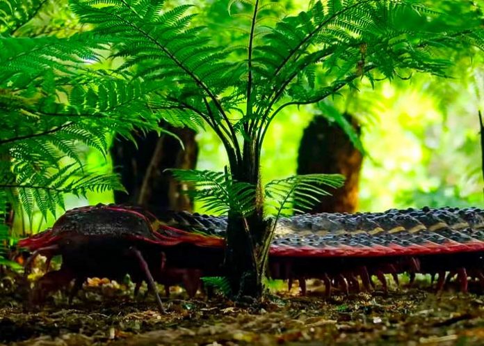 Foto: Reconstruyen virtualmente un ciempiés 'tamaño un coche' de hace 300 millones de años/Cortesía