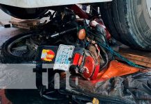 ¡Vivo de milagro! Motociclista ileso luego de terminar bajo las llantas de un cabezal Foto: ¡Vivo de milagro! Motociclista resulta ileso luego de terminar bajo las llantas de un cabezal/TN8