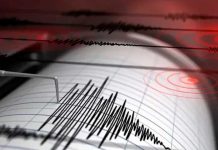 Fuerte sismo de 5,3 sacudió el noroeste de Argentina Foto: Sismo en Argentina /cortesía