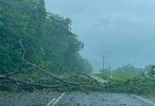 Foto: ¡Impacto de ciclón Jasper! Australia en alerta por fuertes vientos y lluvias/Cortesía
