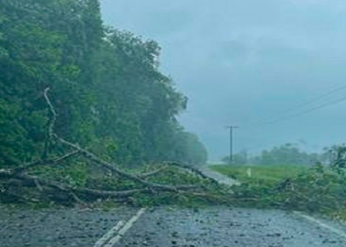 1 Foto: ¡Impacto de ciclón Jasper! Australia en alerta por fuertes vientos y lluvias/Cortesía