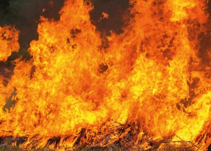 Foto: Incendio arrasan con tramos del mercado municipal de Ernesto Fernández de Masaya / Cortesía