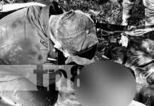 Foto: ¡Macabro hallazgo en El Tortuguero! Encuentran cuerpo de hombre desaparecido/TN8