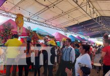 Chontales ganador en el XV Festival Nacional Sabores Navideños Foto: Departamento de Chontales sale ganador en el XV Festival Nacional Sabores Navideños/TN8