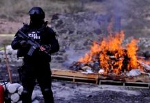 México incinera 53,000 dosis de drogas confiscadas Foto: México erradica 53,000 dosis ilegales /cortesía