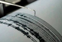 Alerta de tsunami tras sismo de magnitud 7.6 que sacudió Filipinas