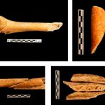 En España descubren nuevas prácticas funerarias del Neolítico Foto: En España descubren nuevas prácticas funerarias del Neolítico/Cortesía