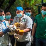 Itzae y una de sus hermanitas se encuentran en un área de recuperación Foto: Itzae y una de sus hermanitas se encuentran en un área de recuperación/Cortesía
