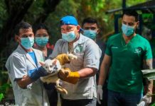 Foto: Itzae y una de sus hermanitas se encuentran en un área de recuperación/Cortesía