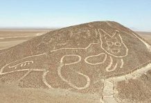 Descubren en Perú 29 nuevos geoglifos con forma de felinos y seres antropomorfos Foto: Descubren en Perú 29 nuevos geoglifos con forma de felinos y seres antropomorfos/Cortesía