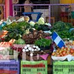 Foto: ALMA realizó la inauguración de galerón "Los Masayas" en el mercado mayoreo / TN8