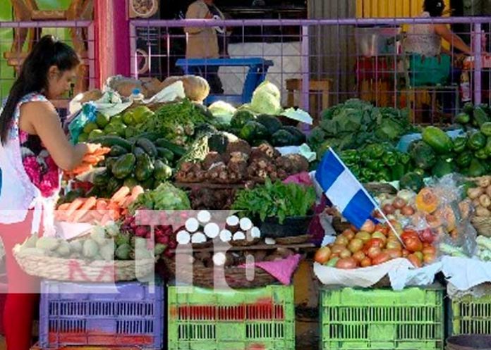 Foto: ALMA realizó la inauguración de galerón 