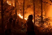 Más de 5 hectáreas quemadas por el voraz incendio en el Parque Metropolitano de Chile Más de 5 hectáreas quemadas por el voraz incendio en el Parque Metropolitano de Chile