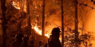Más de 5 hectáreas quemadas por el voraz incendio en el Parque Metropolitano de Chile