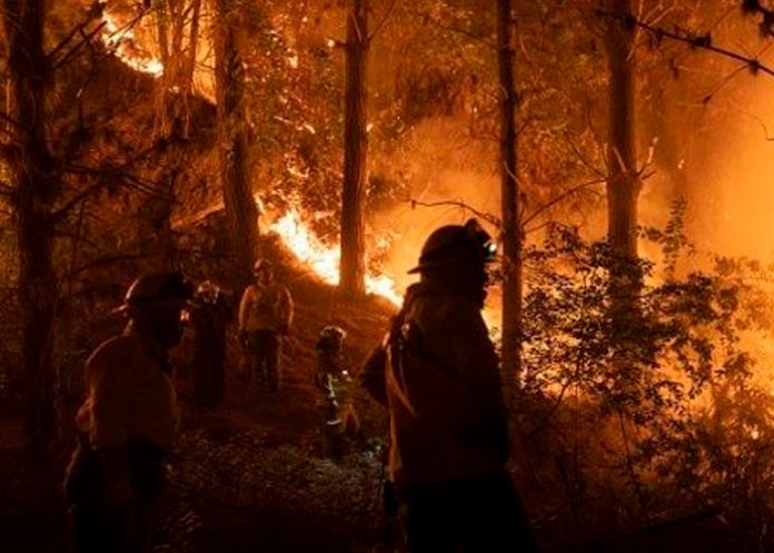 Más de 5 hectáreas quemadas por el voraz incendio en el Parque Metropolitano de Chile