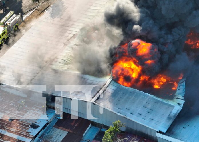 Foto: Voraz incendio en almacén de calzado ocasiona pérdidas millonarias / TN8