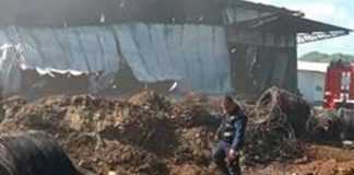 Foto: Sigue en seguimiento el incendio en la bodega Metalúrgica los Martinez /Cortesía