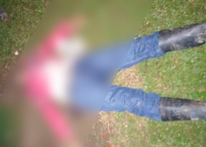 Foto: Sujetó saco a su víctima del culto para propinarle 5 disparos sobre su humanidad /Tn8