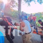 Accidente en la bajada a Venecia deja a varios lesionados Foto: Accidente en la bajada a Venecia deja a varios lesionados / TN8