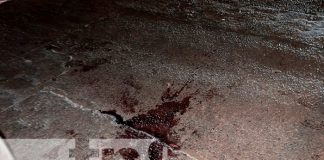 Foto: ¡Le perforó el pulmón! Hombre entre la vida y la muerte tras recibir dos estocadas / TN8