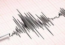 Foto: Sismo en Portugal /cortesía