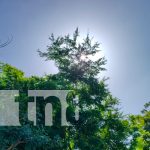 Así se despedirá el año viejo: Pronostican ingreso de un frente frío en Nicaragua Así se despedirá el año viejo: Pronostican ingreso de un frente frío en Nicaragua