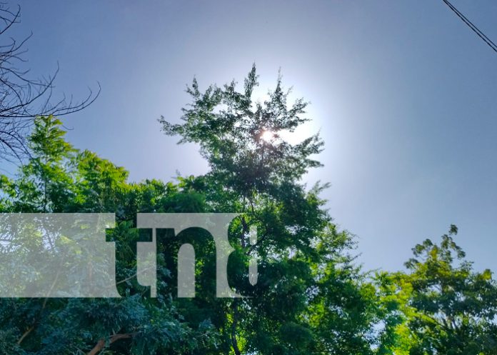 1 Así se despedirá el año viejo: Pronostican ingreso de un frente frío en Nicaragua