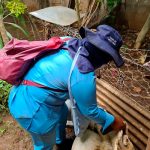 Nicaragua presenta menos contagios en neumonía y dengue Nicaragua presenta menos contagios en neumonía y dengue