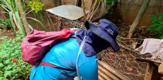 Nicaragua presenta menos contagios en neumonía y dengue