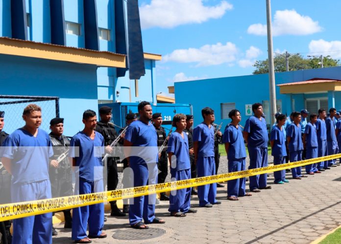 Foto: Delincuentes capturados en una semana en León y Granada/TN8