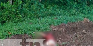 Foto: Lamentable suceso en Villa Sandino /TN8