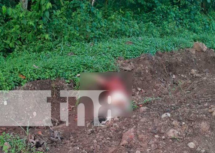 1 Foto: Lamentable suceso en Villa Sandino /TN8