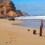 Foto: Ataque mortal de tiburón en Ethel Beach despierta preocupación / Cortesía