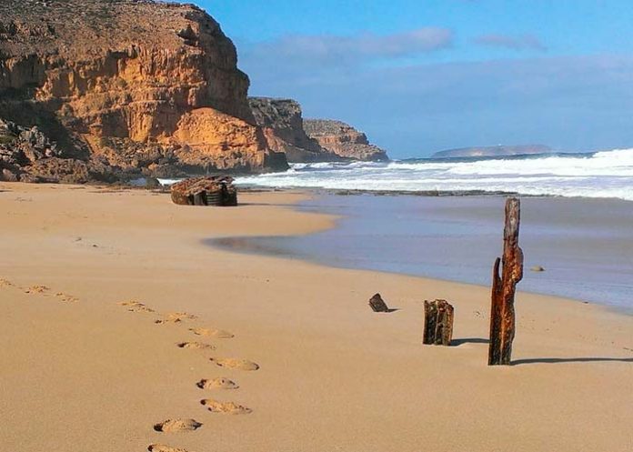 1 Foto: Ataque mortal de tiburón en Ethel Beach despierta preocupación / Cortesía