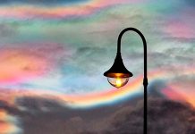 Foto: Nubes arcoíris iluminan el Ártico en un espectáculo visual único /cortesía