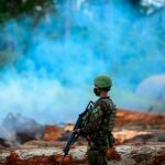Brasil amplía la presencia militar para salvaguardar la Amazonía Foto: Brasil redobla su compromiso ambiental /cortesía