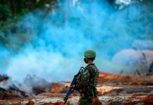 Foto: Brasil redobla su compromiso ambiental /cortesía