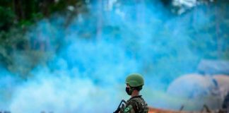 Foto: Brasil redobla su compromiso ambiental /cortesía