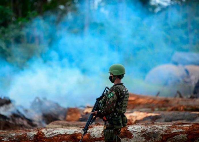 Foto: Brasil redobla su compromiso ambiental /cortesía