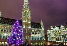 Foto: Fatalidad en Bélgica: Árbol de Navidad mata a mujer durante tormenta / Cortesía
