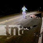 Artista cristiano impacta fuertemente contra un equino en Jinotega Artista cristiano impacta fuertemente contra un equino en Jinotega